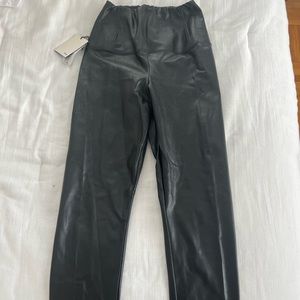 Aritzia leather pant - Daria Pant